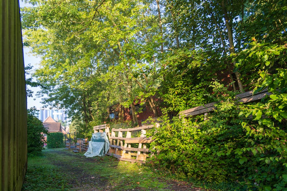 A garden pathway bordered by a wooden fence with horizontal slats on the right side, partially obscured by dense green shrubbery and small trees, with healthy, vibrant leaves. The ground is a dirt pathway with patches of grass, leading towards the background where a collection of wooden pallets and various debris, including a white plastic bag and other unidentifiable rubbish, are stacked or leaning against the fence. Tall trees with lush foliage extend overhead, casting dappled sunlight across the scene, creating a bright and natural environment. In the distance, residential buildings with brick exteriors and pitched roofs are visible beneath the canopy, indicating an urban garden area. The scene captures an outdoor space in need of clearance, consistent with private waste removal or alternative rubbish collection services, as provided by Rubbish Clearance Tooting, to facilitate garden waste disposal and site tidying.